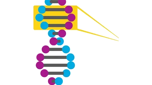 Precision Oncology Online Education