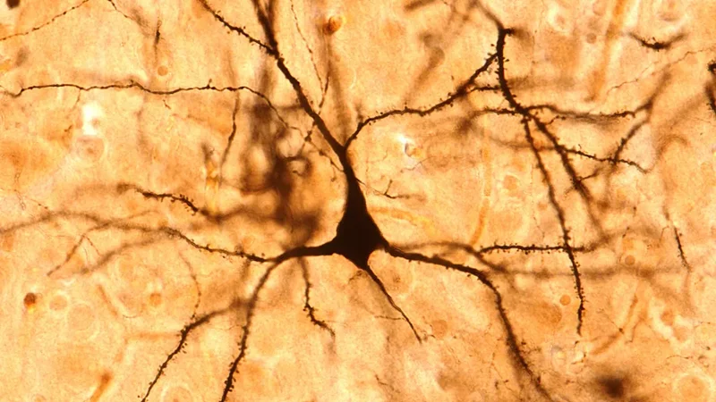 JAX Center for Addiction Biology