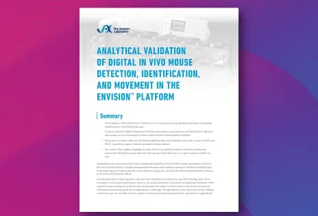 JAX Envision White Paper