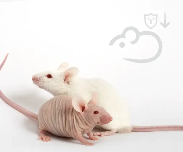 Immunodeficient & Nude Models