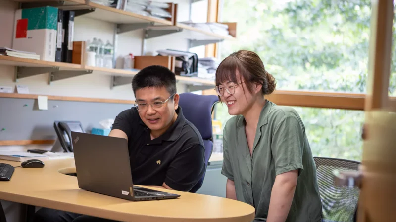 Newsroom - News & Insights - Page Tile - The seed and the soil: Utilizing mouse models to understand metastasis spread