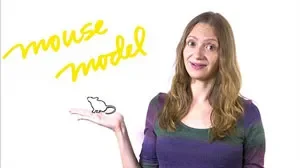What is a Mouse Model?