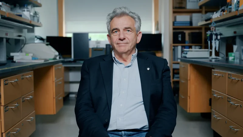 What stem cells tell us about autism and other developmental brain disorders