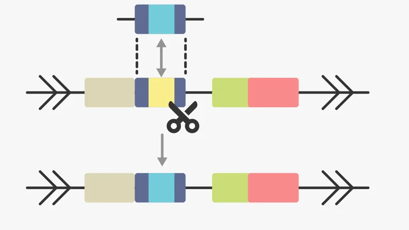 Custom Model Generation
