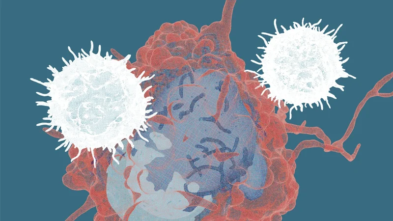 *Systems immunology focus area - page tile