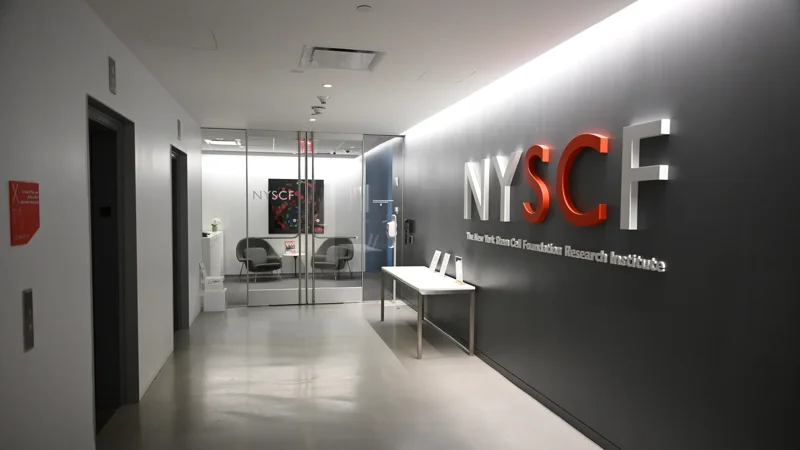 The JAX- NYSCF Collaborative | New York, NY image