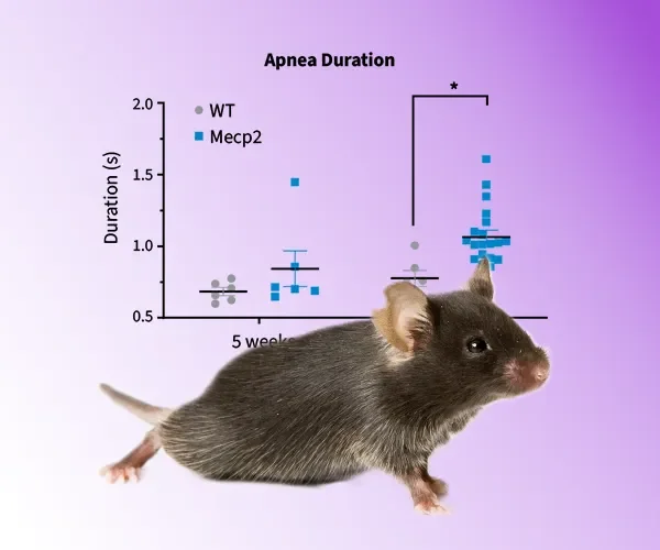 Neurodevelopmental Disease Models and Studies