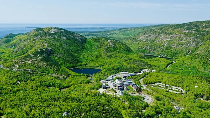 Our Environmental Impact