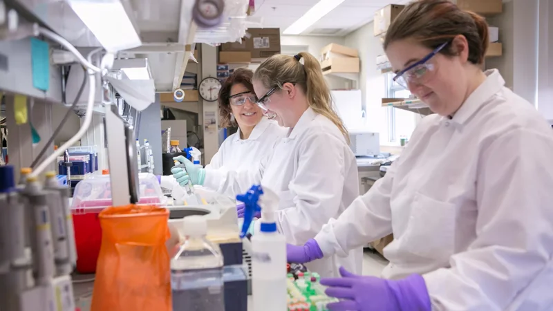 Newsroom - News & Insights - Page Tile - JAX research roundup: longevity, ancient DNA, and more