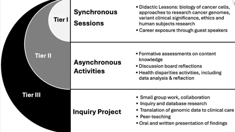 Virtual Cancer Genomics: An Accessible and Effective Approach to Research Training for Undergraduates