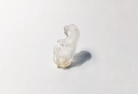 3D Printed Pup for Training image