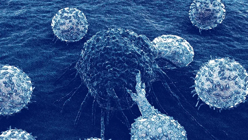 PDX Live™ Tumor Models