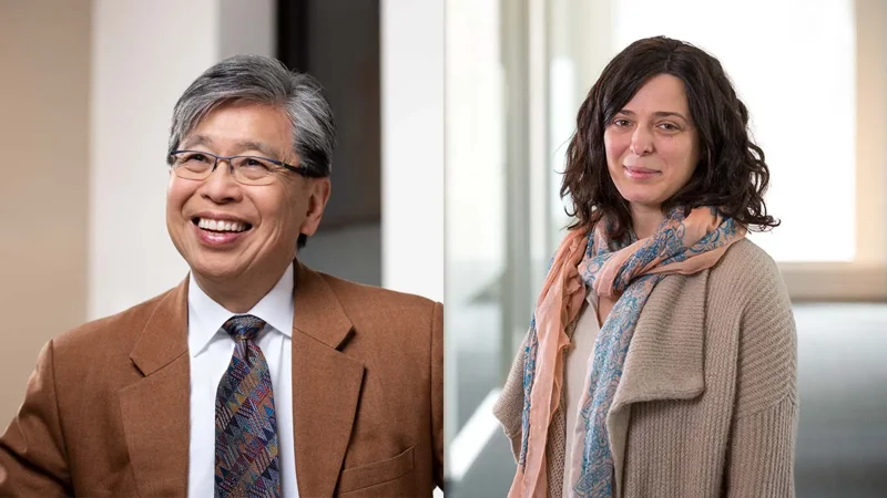 The overlooked DNA signal that might reshape breast cancer screening - Page Tile 1