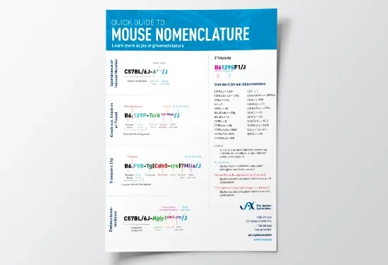 Quick Guide to Mouse Nomenclature image