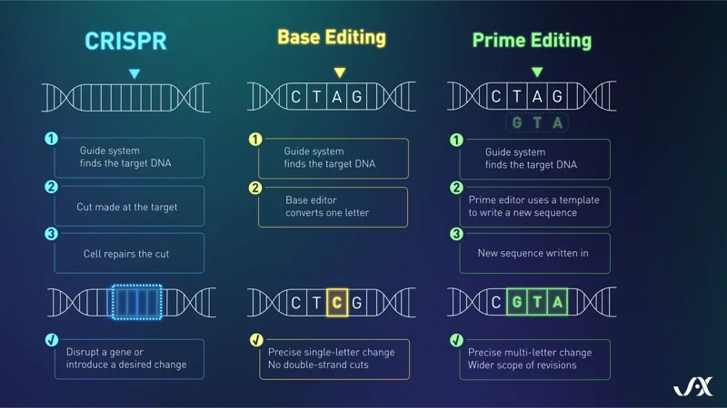What is gene editing, and how are JAX researchers using it to transform genetic medicines? - Page Tile - Latest News