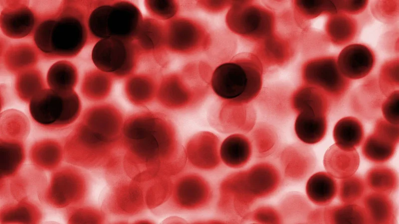 Mouse Organs, Blood and Tissues - Page Tile