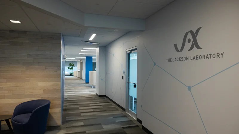 Precision brain cancer diagnosis - Tile - Learn more 1