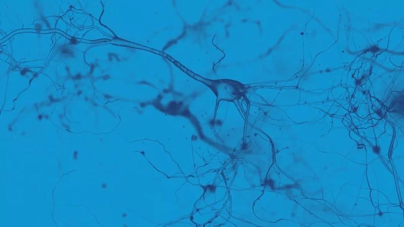 Postdoctoral Positions