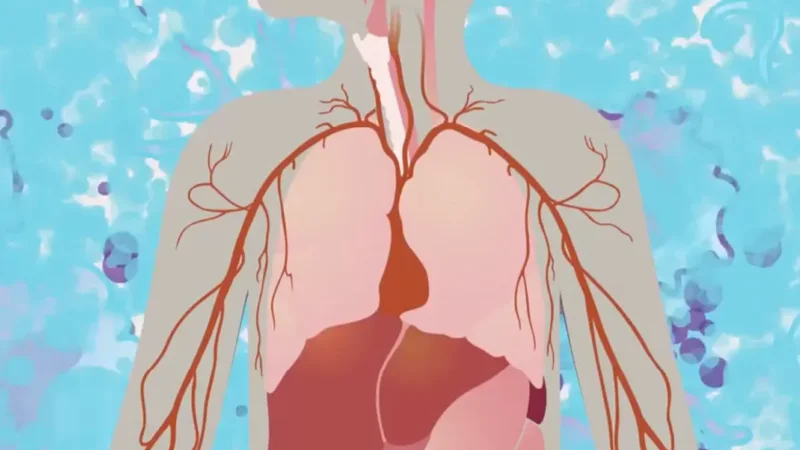Safety And Efficacy Testing with Cytokine Release Syndrome Assay - Page Tile