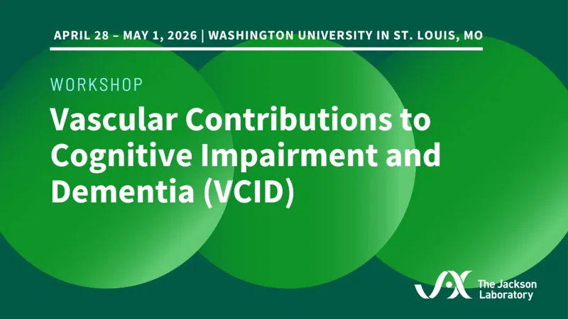 Vascular Contributions to Cognitive Impairment and Dementia - Page Tile