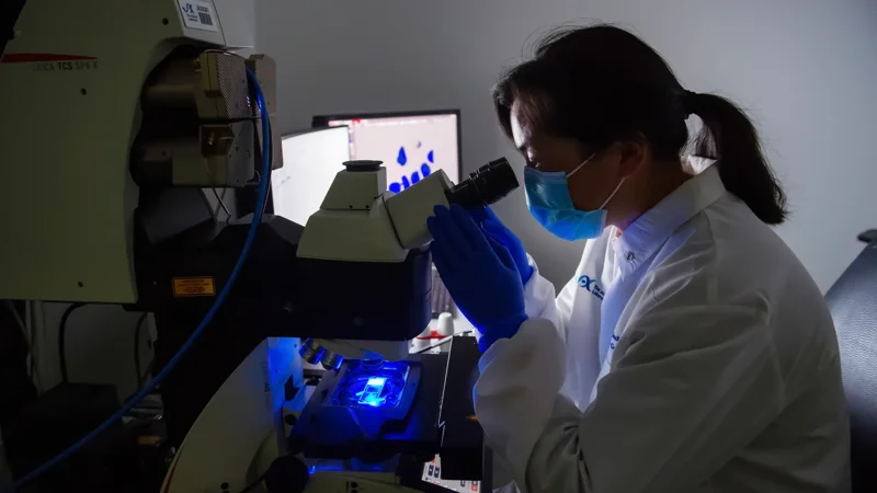 What rare diseases can teach us about the rest of medicine