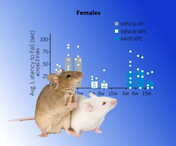 Lysosomal Storage Disease Models and Studies