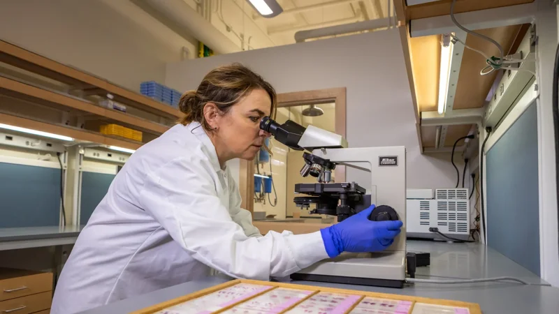 The JCPG is a Key Component of the Rare Disease Translational Center