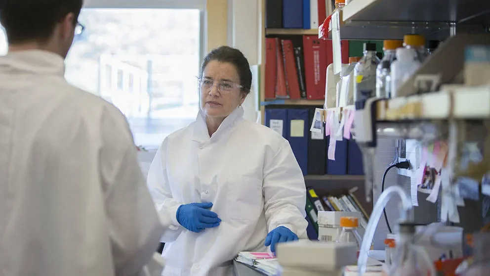 JAX receives $1M from The Mark Foundation for Cancer Research