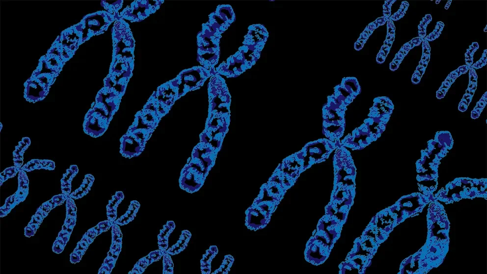 The advantages of diversity mouse strains and populations