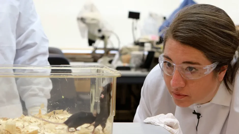 Amber Olsen observes the mice that model her daugther, Willow's, ultra-rare disease.