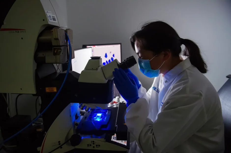 What rare diseases can teach us about the rest of medicine