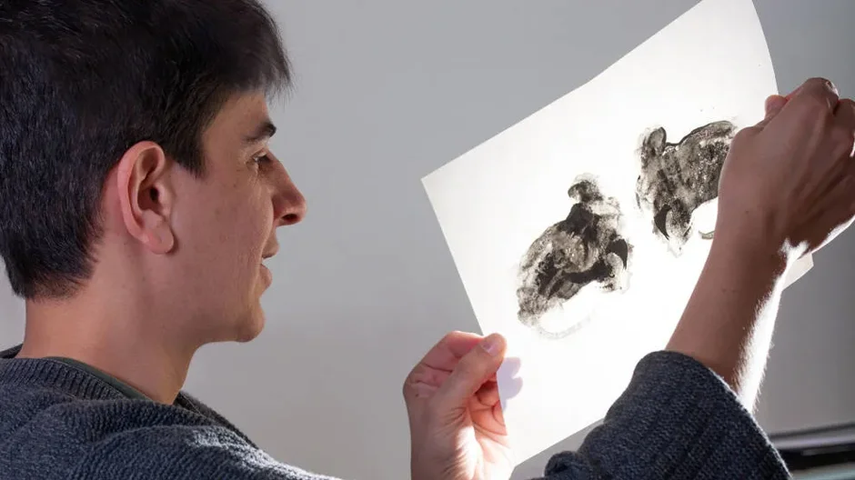 Behavioral understanding