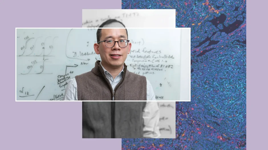 JAX Professor Jeff Chuang, Ph.D. Right: An tumor imaged at single cell resolution at The Jackson Laboratory.