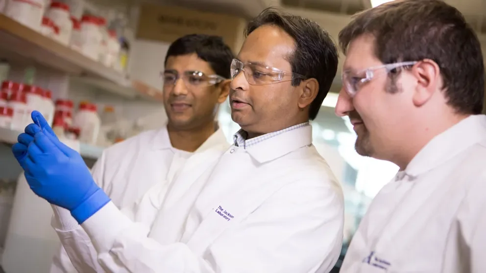 Untangling the biology of addiction