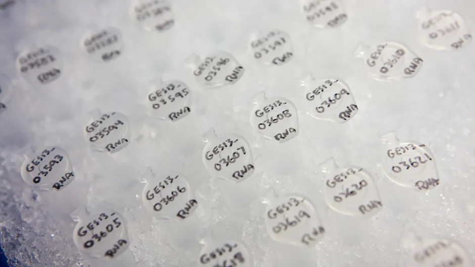 Genomic testing in the U.S. workplace