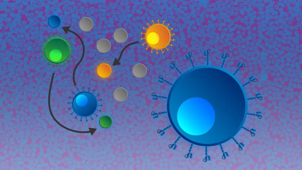 The ABC’s of CAR T Cell Therapies