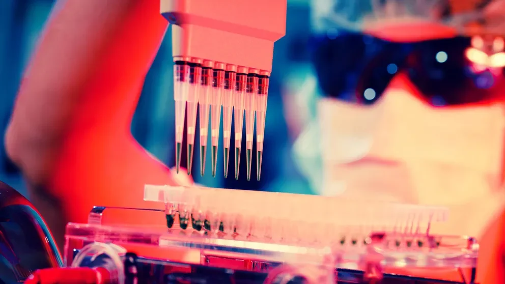 From one cell to trillions: Exploring early development