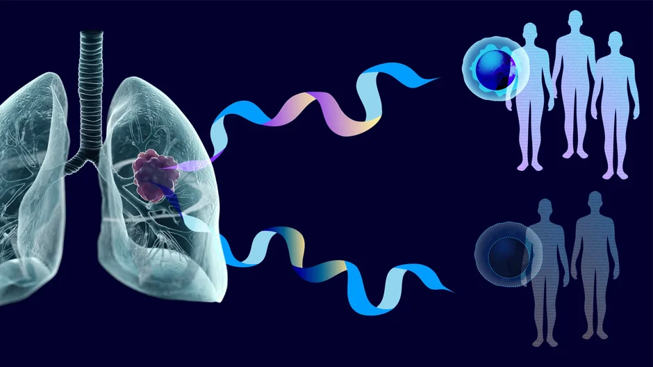 Overlooked ‘off switch’ in lung tumors may explain why immunotherapy doesn't work for everyone
