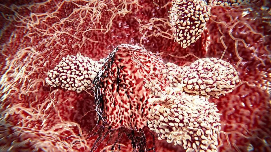 Diversity and collaboration for effective immunotherapy