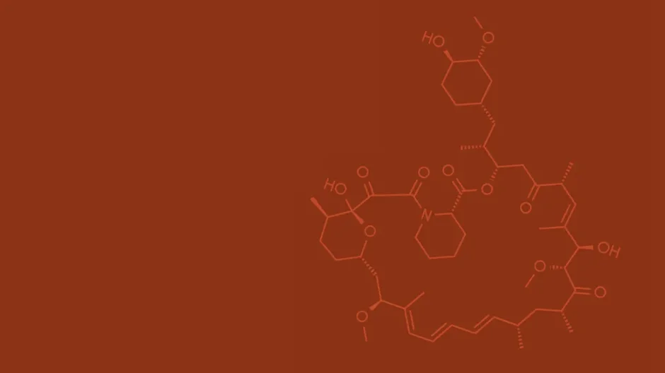 The molecule rapamycin, an FDA-approved immunosuppressant for organ transplant patients, was identified by the Interventions Testing Program.