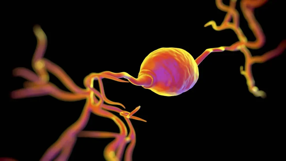 12 things you dont know about Cre-lox