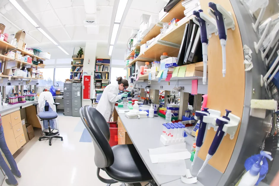 JAX research roundup: hidden DNA, genome editing and more