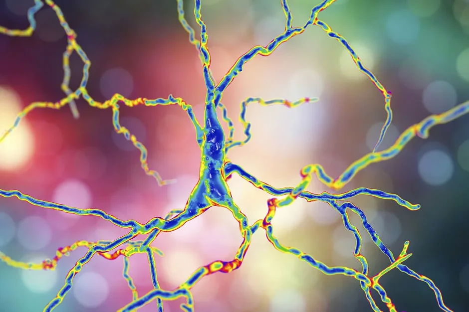 Shriners Hospitals for Children and The Jackson Laboratory announce research affiliation to discover