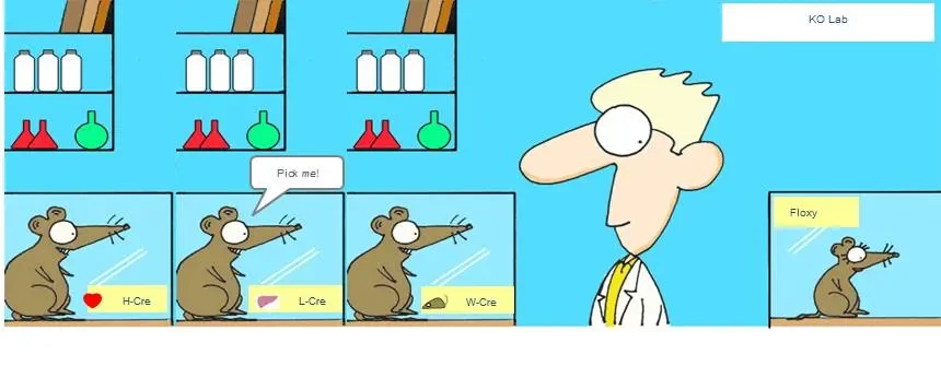 The ABC’s of choosing a Cre strain to generate KO mice