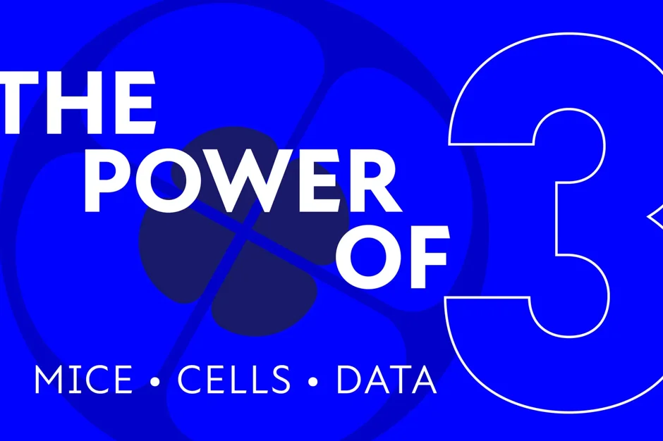 The power of 3: Building an integrated discovery platform