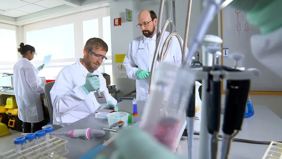 Defective protein quality control and neuromuscular disease