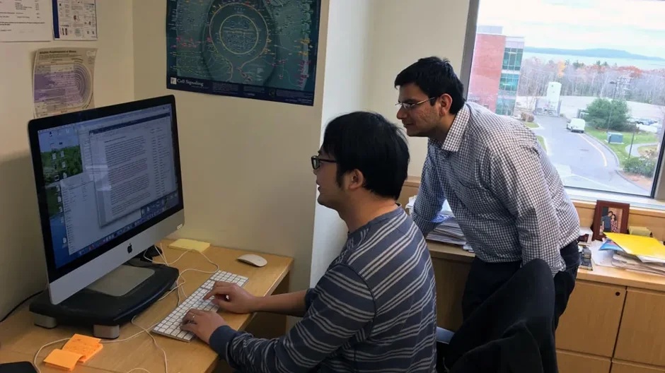 Working with uncertainty in cell populations