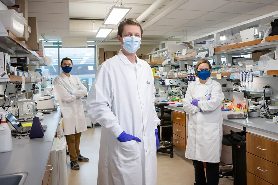 Understanding the non-coding genome