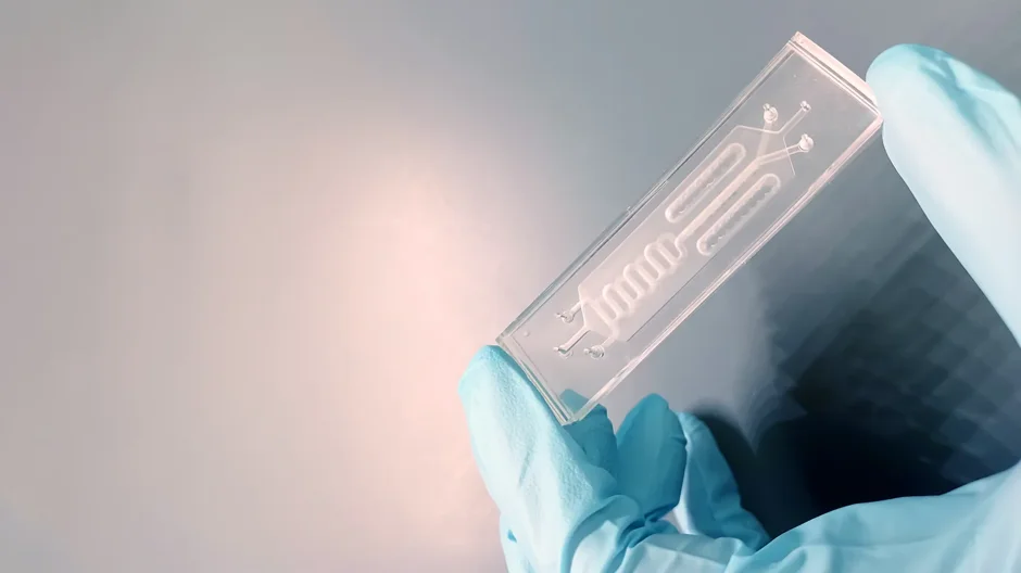 An organ-on-a-chip system used by scientists to help better understand disease.