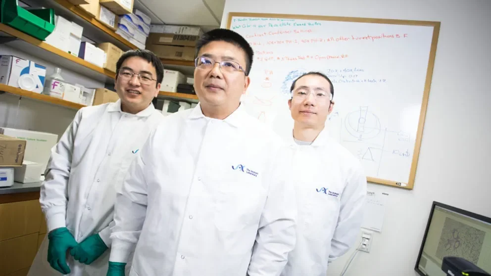 Immune cell interactions affect cancer metastasis